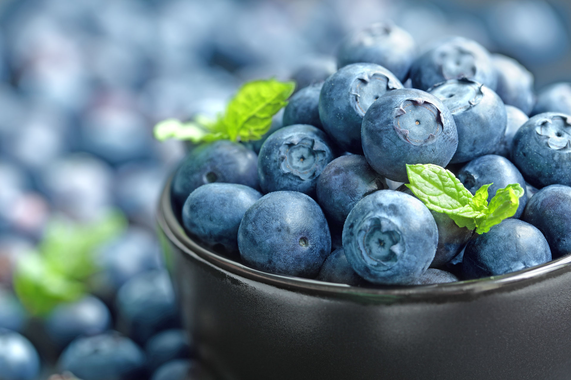 Blueberry Month at The Storage Inn